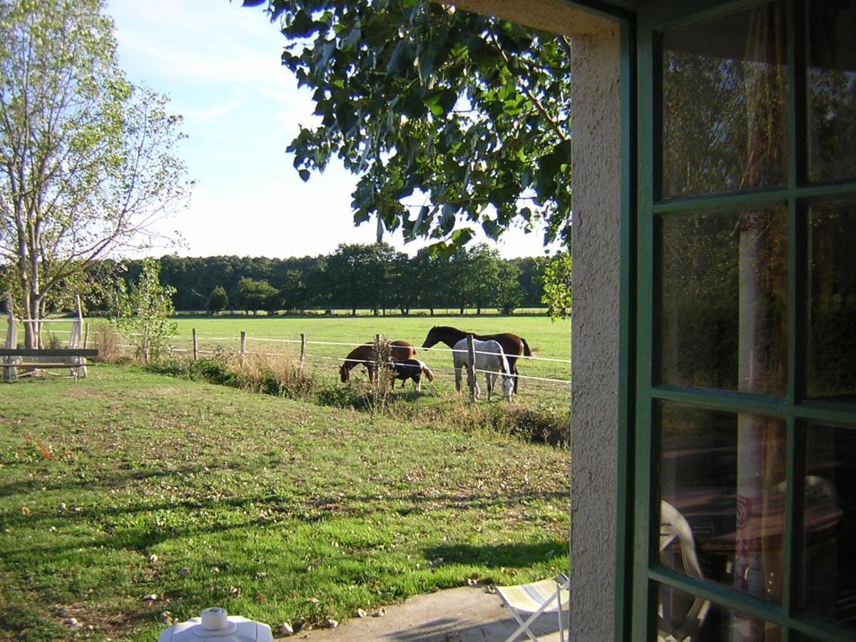 D'hote De L'elevage Du Lattay Bed & Breakfast