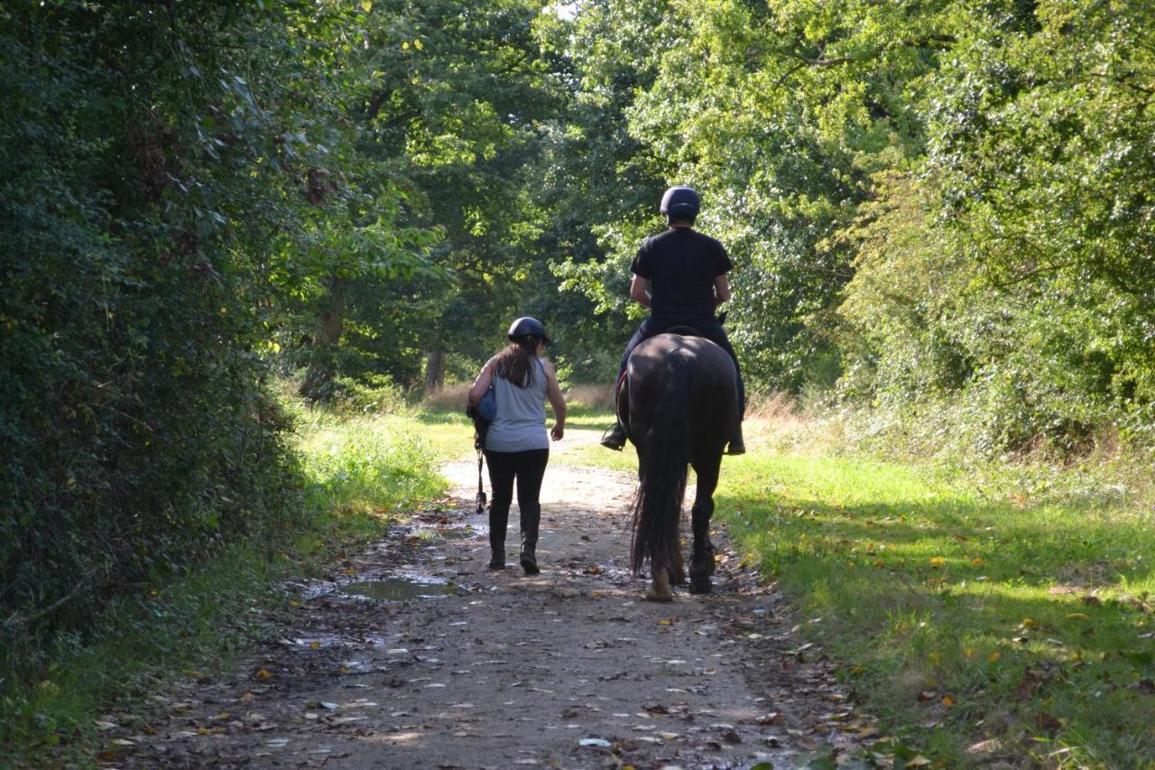 Bed & Breakfast D'hote De L'elevage Du Lattay