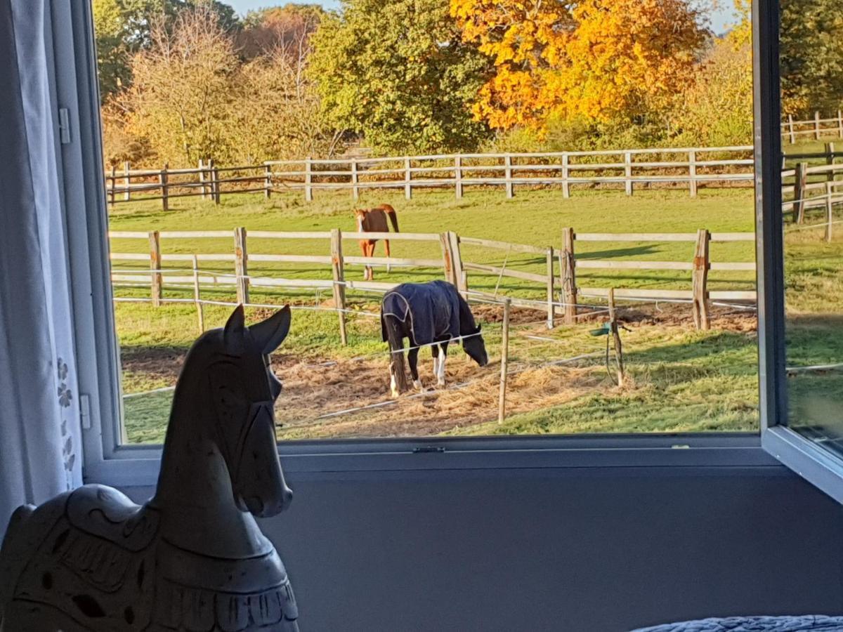Bed & Breakfast D'hote De L'elevage Du Lattay *